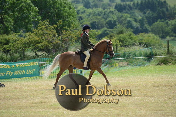 Lanchester-2249