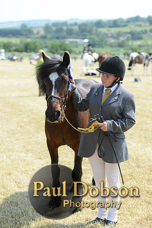 Lanchester-2292