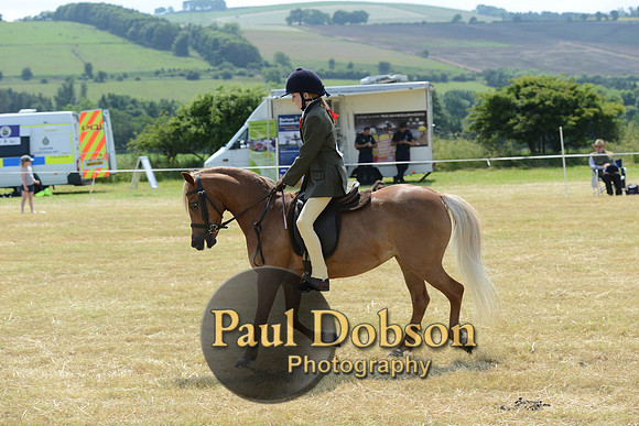 Lanchester-2247