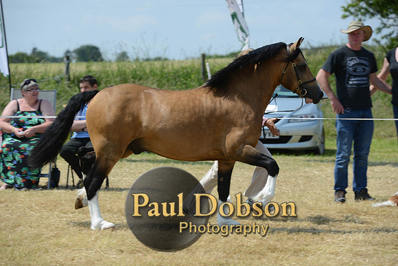 Lanchester-2306