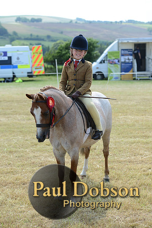Lanchester-2263