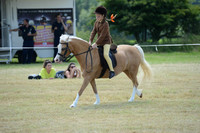 Lanchester-2233
