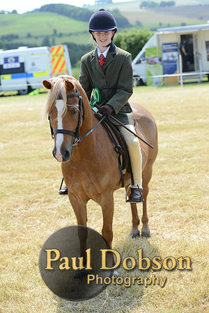 Lanchester-2274