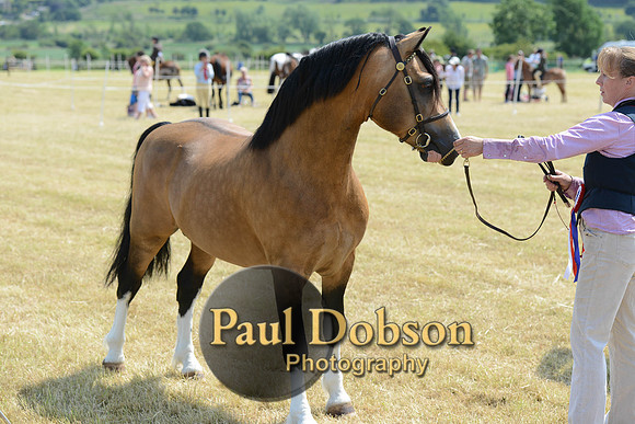 Lanchester-2281