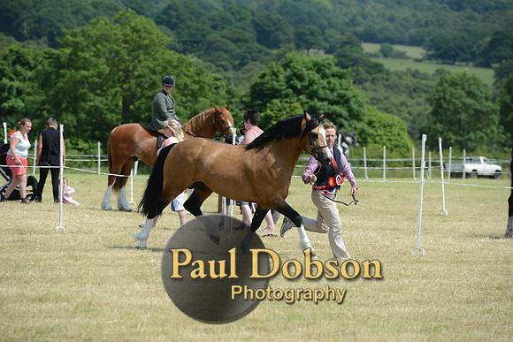 Lanchester-2297