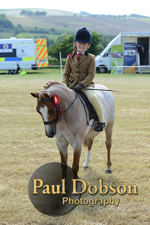 Lanchester-2261