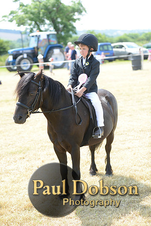 Lanchester-2276