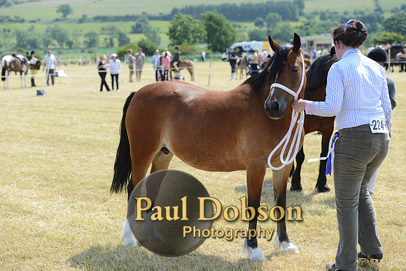 Lanchester-2289