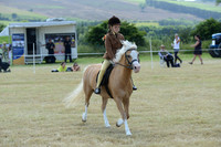 Lanchester-2229