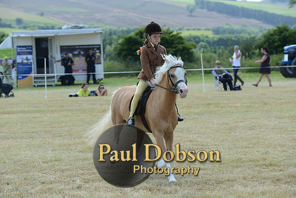 Lanchester-2229