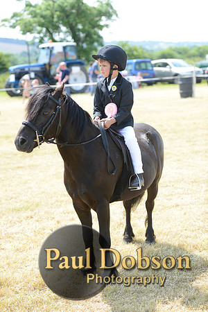 Lanchester-2279