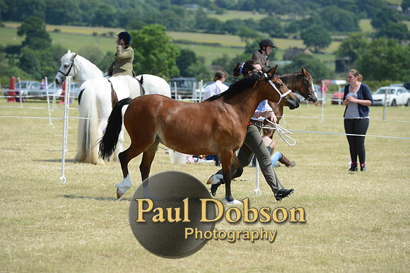 Lanchester-2301