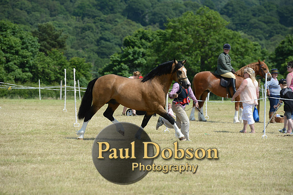Lanchester-2296