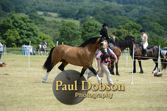 Lanchester-2298