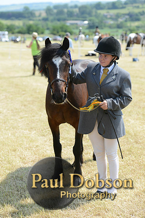 Lanchester-2293
