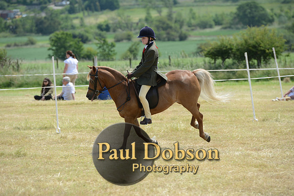 Lanchester-2254
