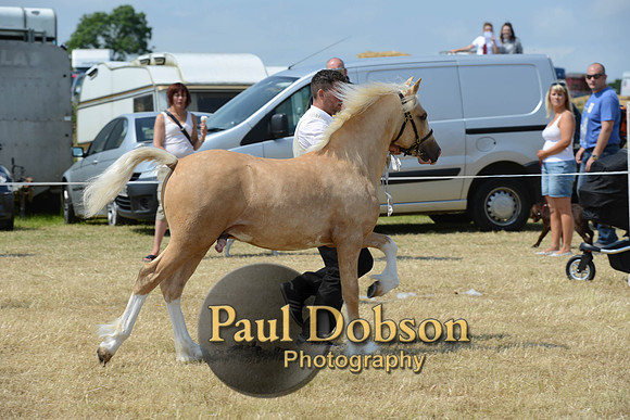Lanchester-2307