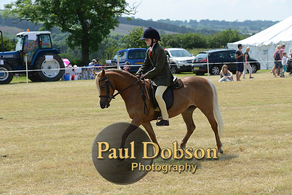 Lanchester-2245