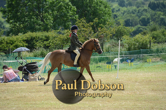 Lanchester-2248