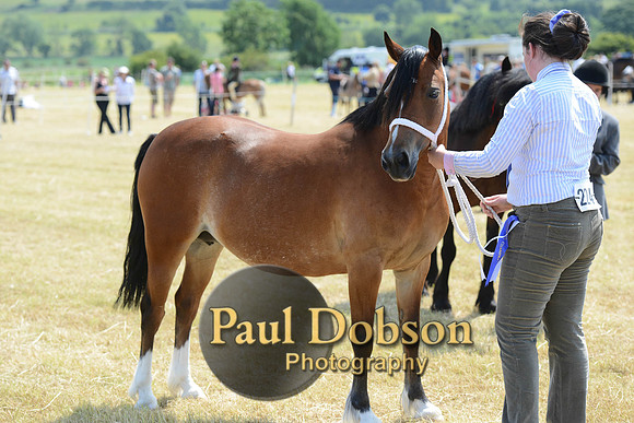 Lanchester-2287