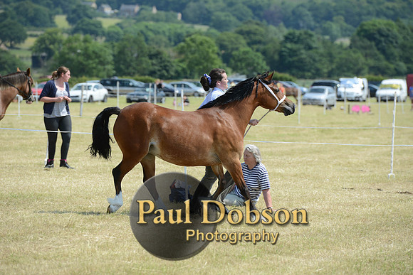 Lanchester-2303