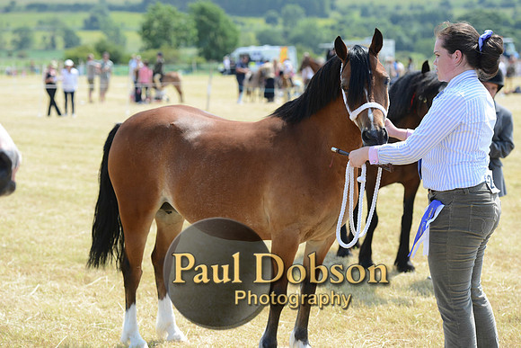 Lanchester-2285