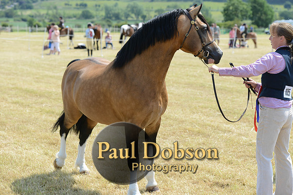 Lanchester-2283