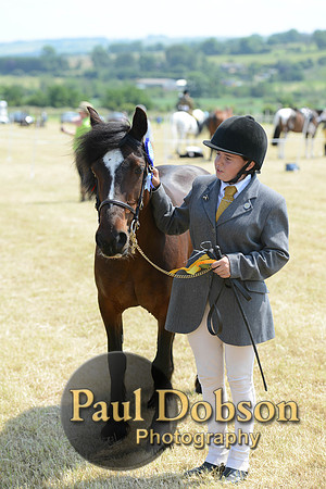 Lanchester-2291