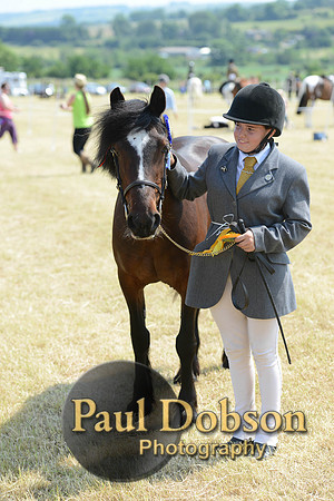 Lanchester-2294