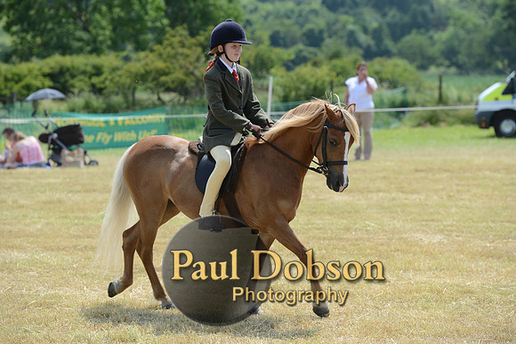 Lanchester-2243
