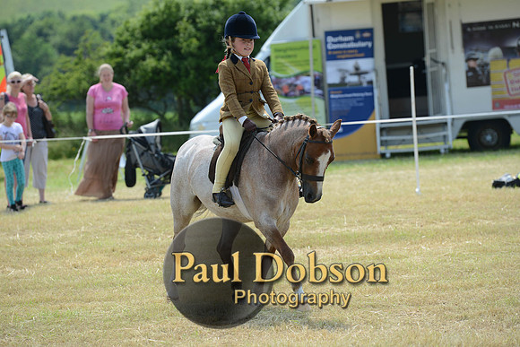 Lanchester-2220