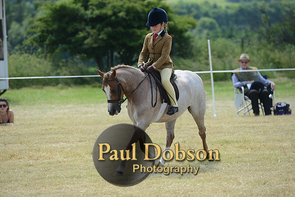 Lanchester-2225