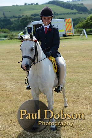 Lanchester-2269