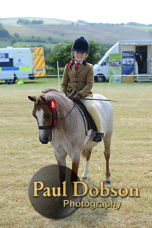 Lanchester-2262