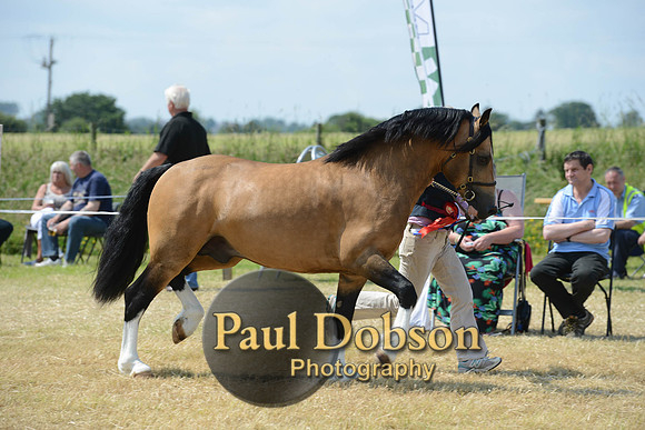 Lanchester-2305