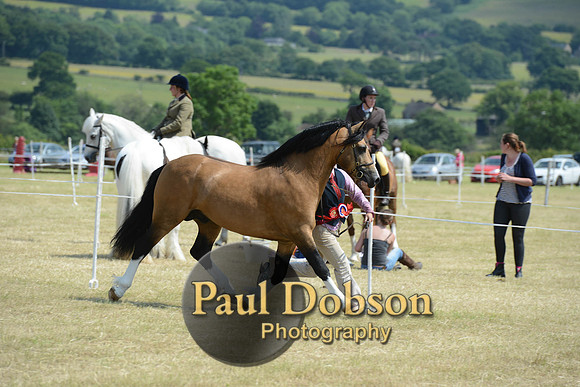 Lanchester-2299