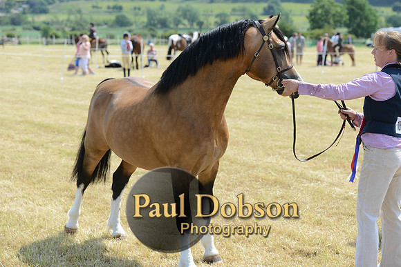 Lanchester-2282