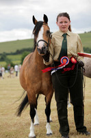 Lanchester-7591