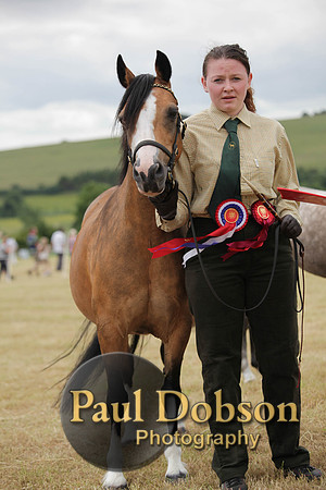 Lanchester-7591