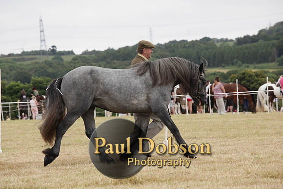 Lanchester-7924
