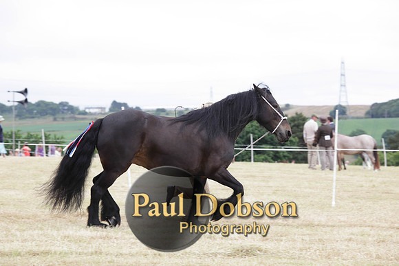 Lanchester-7931