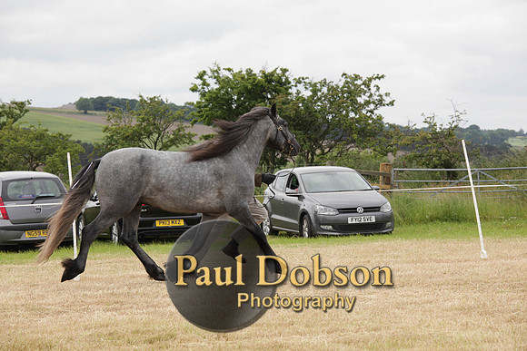 Lanchester-7914