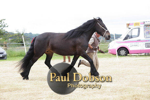 Lanchester-7925