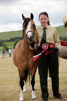 Lanchester-7590