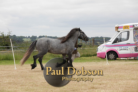 Lanchester-7916