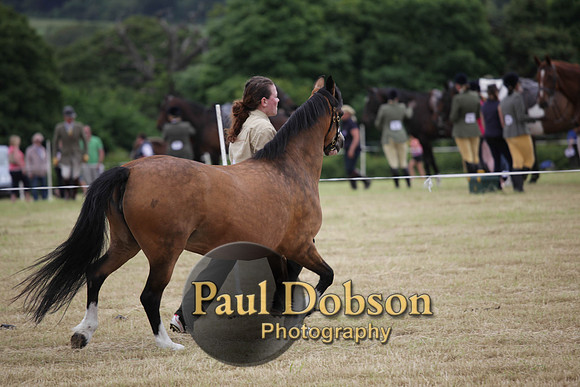 Lanchester-7600