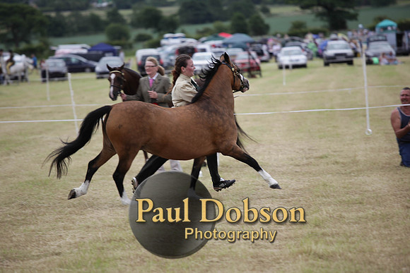 Lanchester-7606
