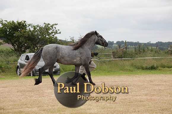 Lanchester-7915