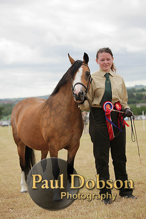 Lanchester-7596