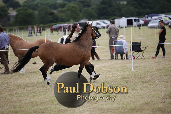 Lanchester-7603